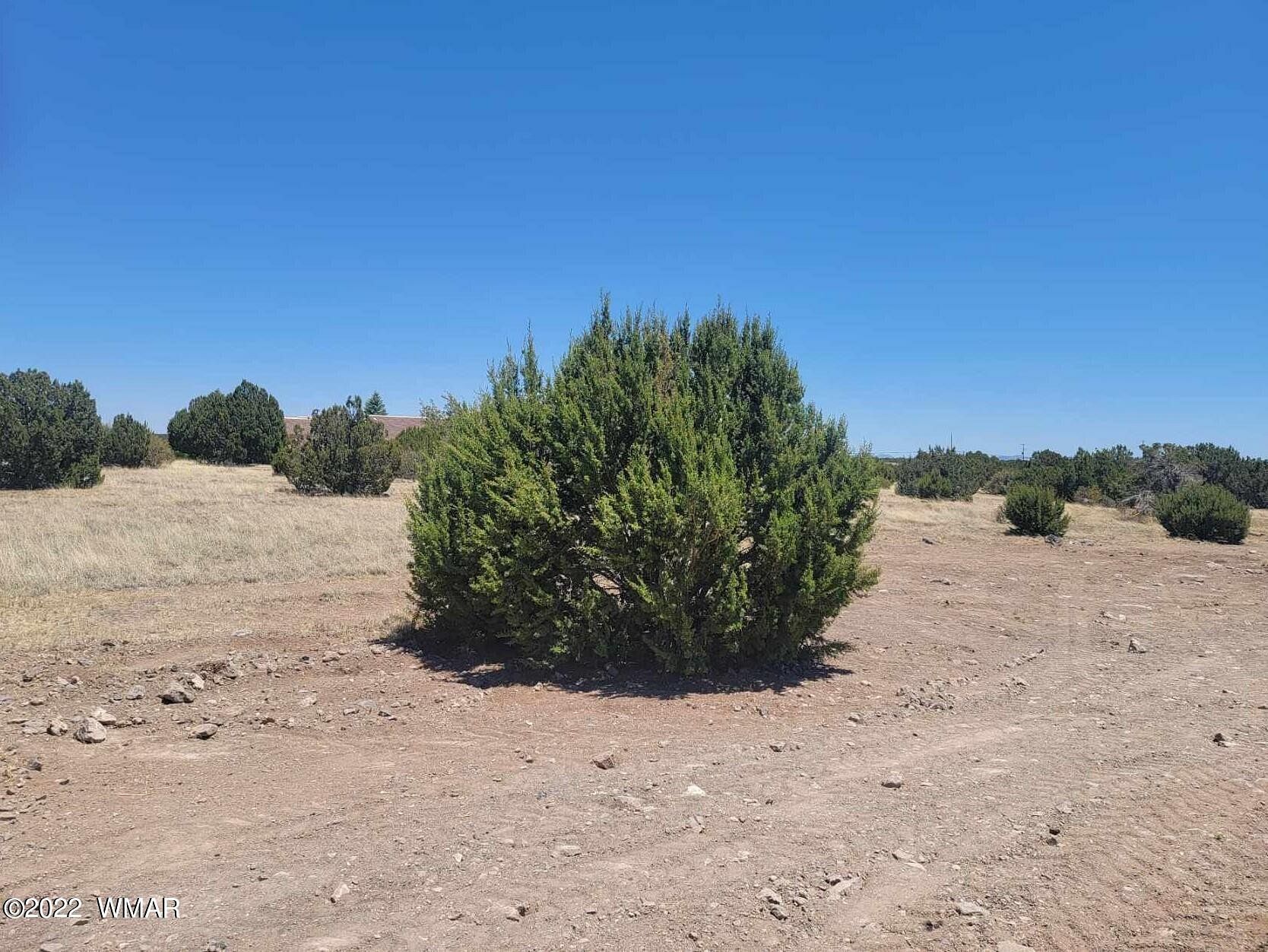 0.41 Acres of Residential Land for Sale in Show Low, Arizona