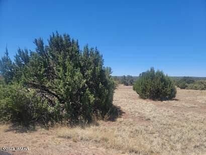 0.49 Acres of Residential Land for Sale in Show Low, Arizona