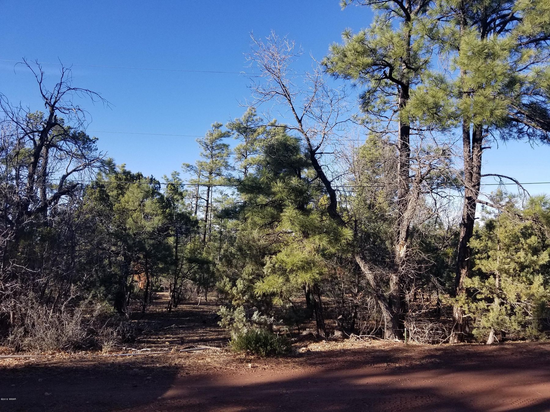 1.3 Acres of Residential Land for Sale in Show Low, Arizona