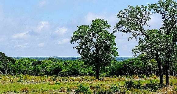 14.9 Acres of Agricultural Land for Sale in Burnet, Texas