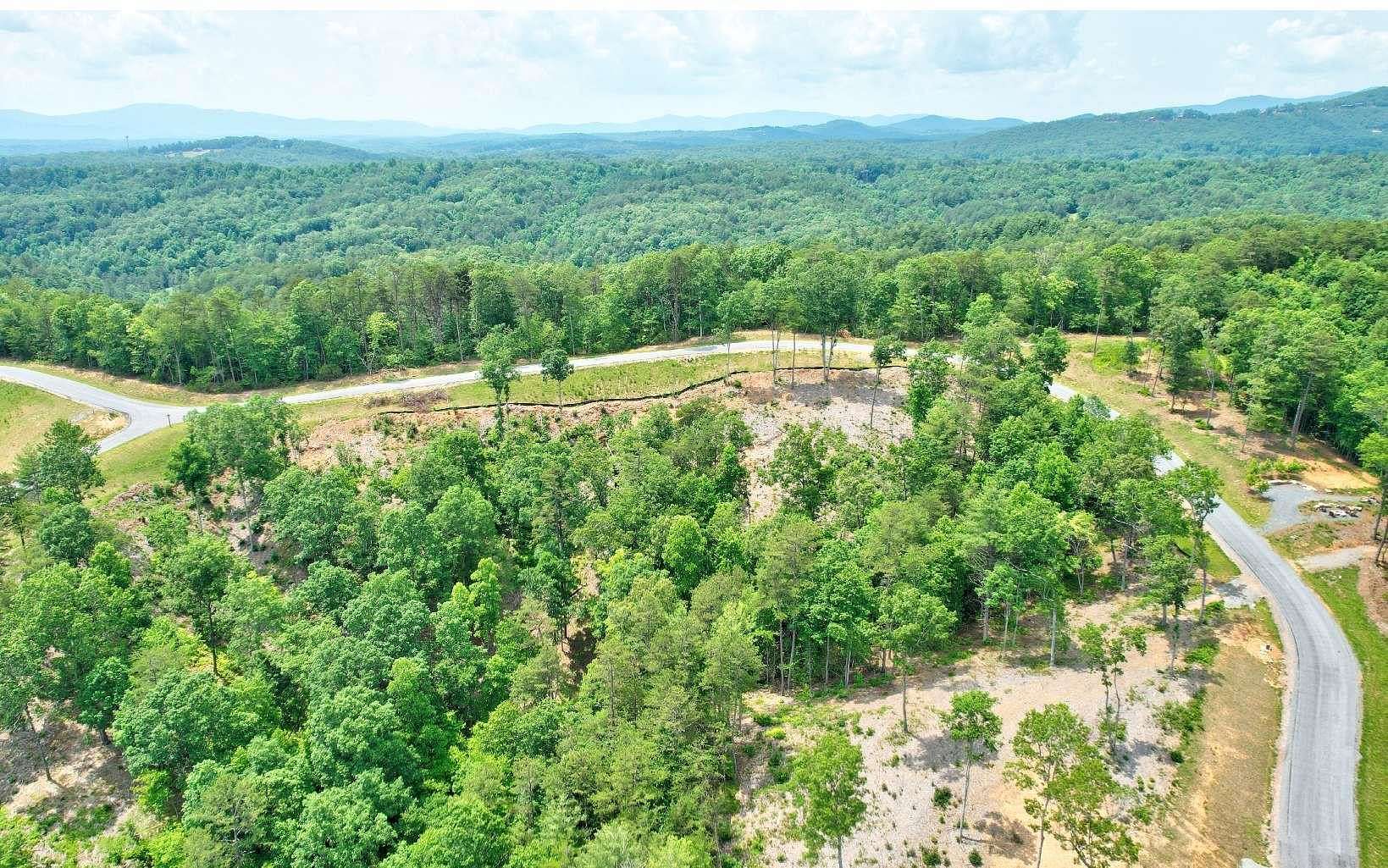 0.89 Acres of Residential Land for Sale in Mineral Bluff, Georgia