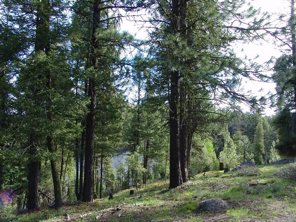 5.1 Acres of Land for Sale in Cascade, Idaho