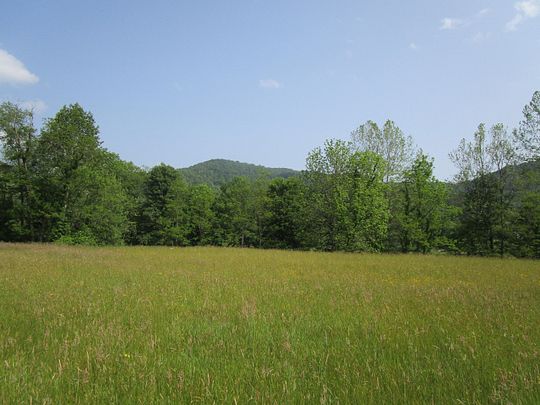0.96 Acres of Commercial Land for Sale in Roan Mountain, Tennessee