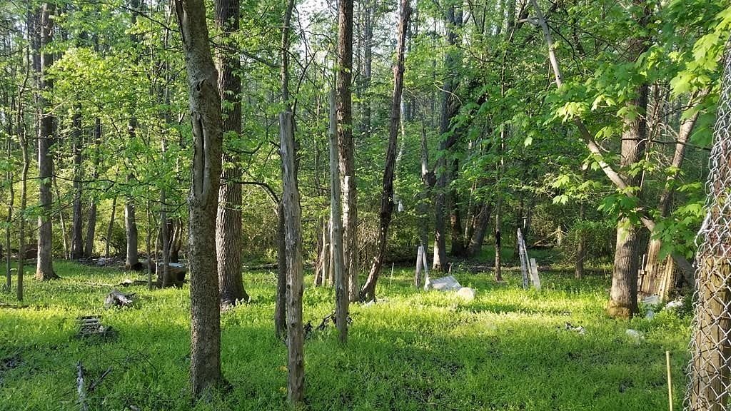 5.1 Acres of Land for Sale in Halifax, Virginia