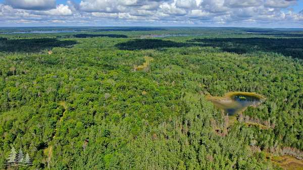 320 Acres of Recreational Land for Sale in Lewiston, Michigan