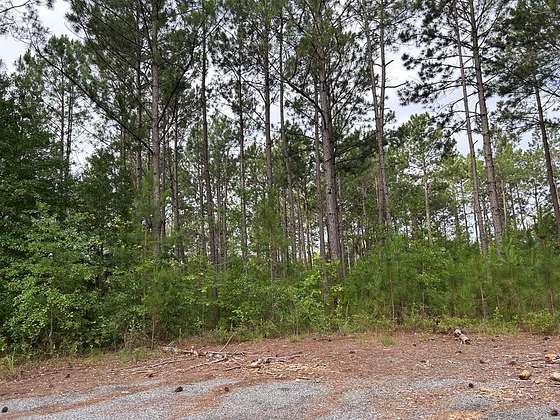 1.7 Acres of Residential Land for Sale in Rochelle, Georgia