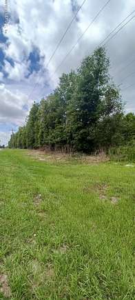1.08 Acres of Residential Land for Sale in Hawthorne, Florida