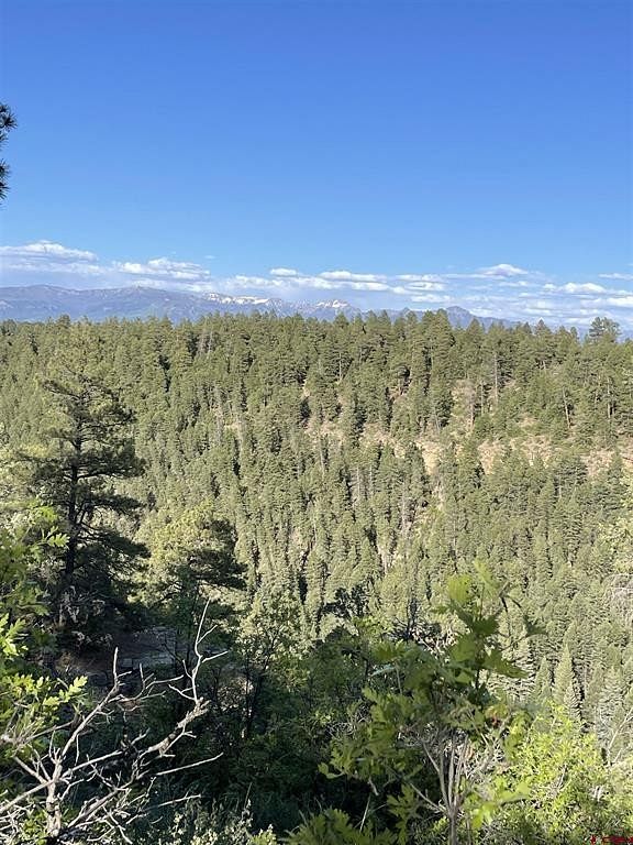 42.2 Acres of Recreational Land for Sale in Pagosa Springs, Colorado