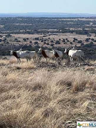 6.612 Acres of Residential Land for Sale in Kempner, Texas