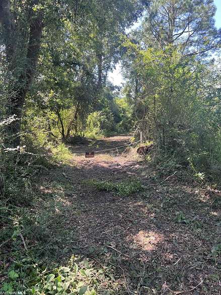 40 Acres of Recreational Land for Sale in Elberta, Alabama