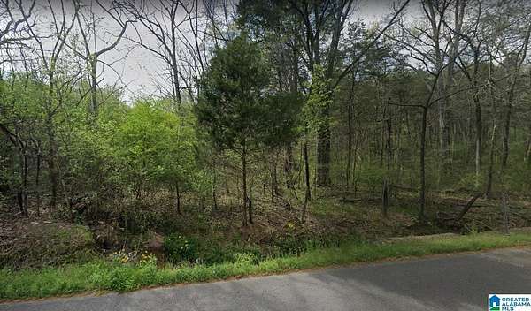 67 Acres of Recreational & Residential Land for Sale in Birmingham, Alabama