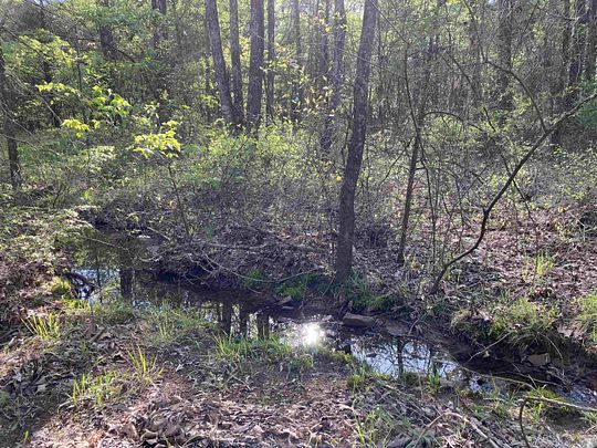 38.9 Acres of Recreational Land for Sale in Hattieville, Arkansas