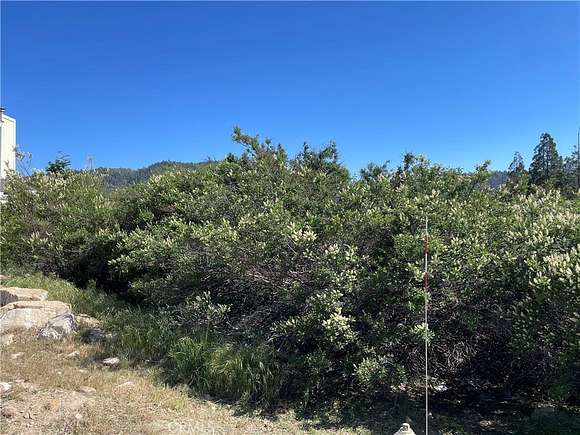 0.061 Acres of Land for Sale in Cedar Glen, California