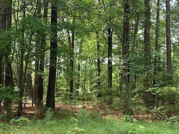 1.2 Acres of Residential Land for Sale in Jamesville, Virginia