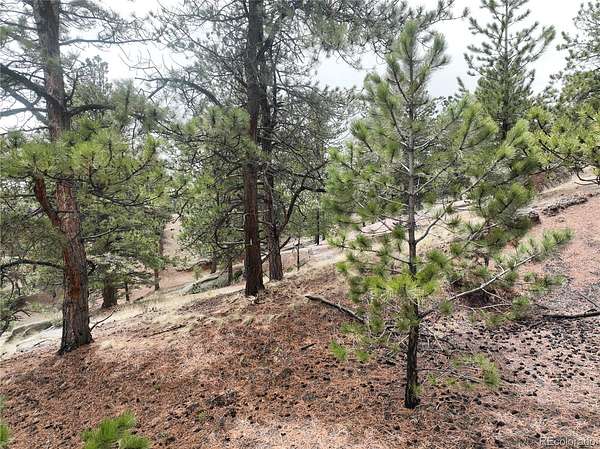 0.53 Acres of Residential Land for Sale in Florissant, Colorado
