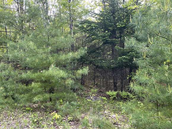 7.78 Acres of Residential Land for Sale in Bridgton, Maine