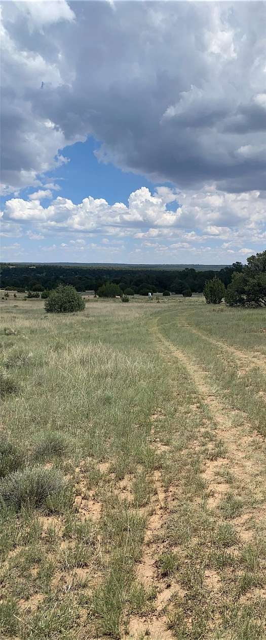 10 Acres of Residential Land for Sale in Rowe, New Mexico