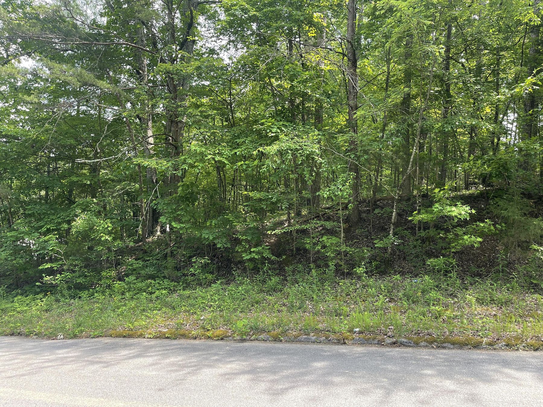 0.51 Acres of Residential Land for Sale in Soddy-Daisy, Tennessee