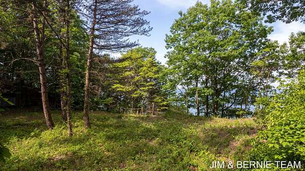 21.1 Acres of Land for Sale in Holland, Michigan