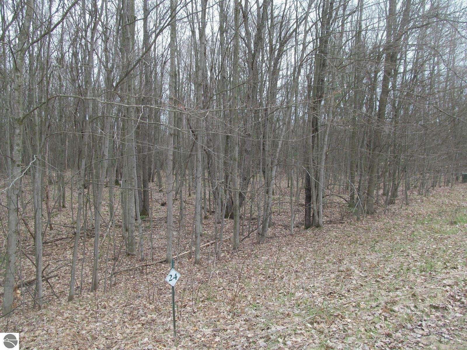 1.01 Acres of Land for Sale in Lake City, Michigan
