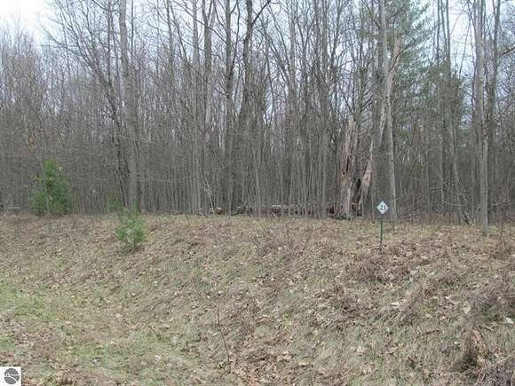 1 Acre of Residential Land for Sale in Lake City, Michigan
