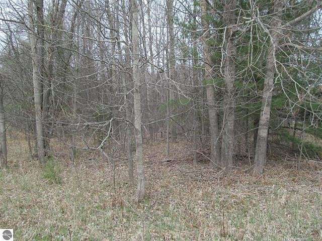 0.92 Acres of Land for Sale in Lake City, Michigan