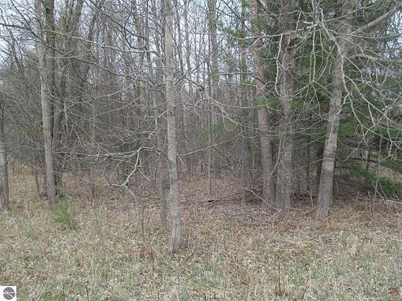0.92 Acres of Residential Land for Sale in Lake City, Michigan