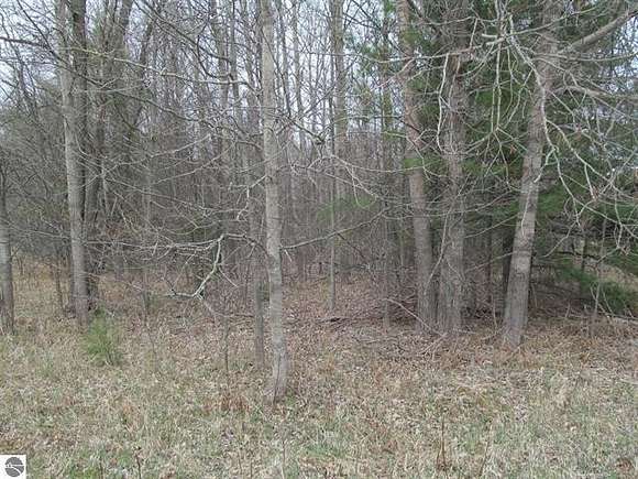 0.92 Acres of Land for Sale in Lake City, Michigan