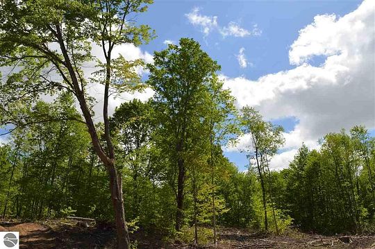 19.5 Acres of Recreational Land for Sale in Alba, Michigan