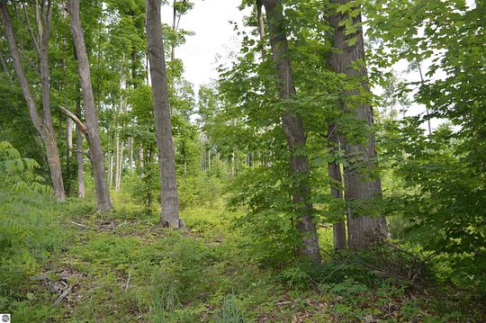 20 Acres of Recreational Land & Farm for Sale in Kingsley, Michigan
