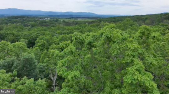 15 Acres of Recreational Land for Sale in Luray, Virginia
