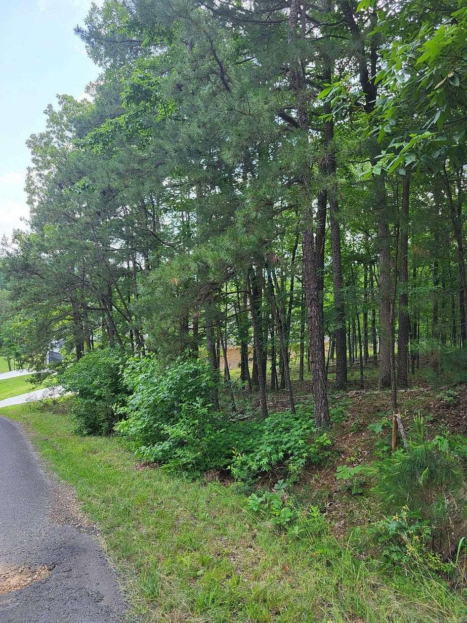 0.05 Acres of Residential Land for Sale in Hot Springs, Arkansas