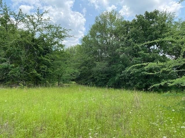 2 Acres of Residential Land for Sale in Eustace, Texas