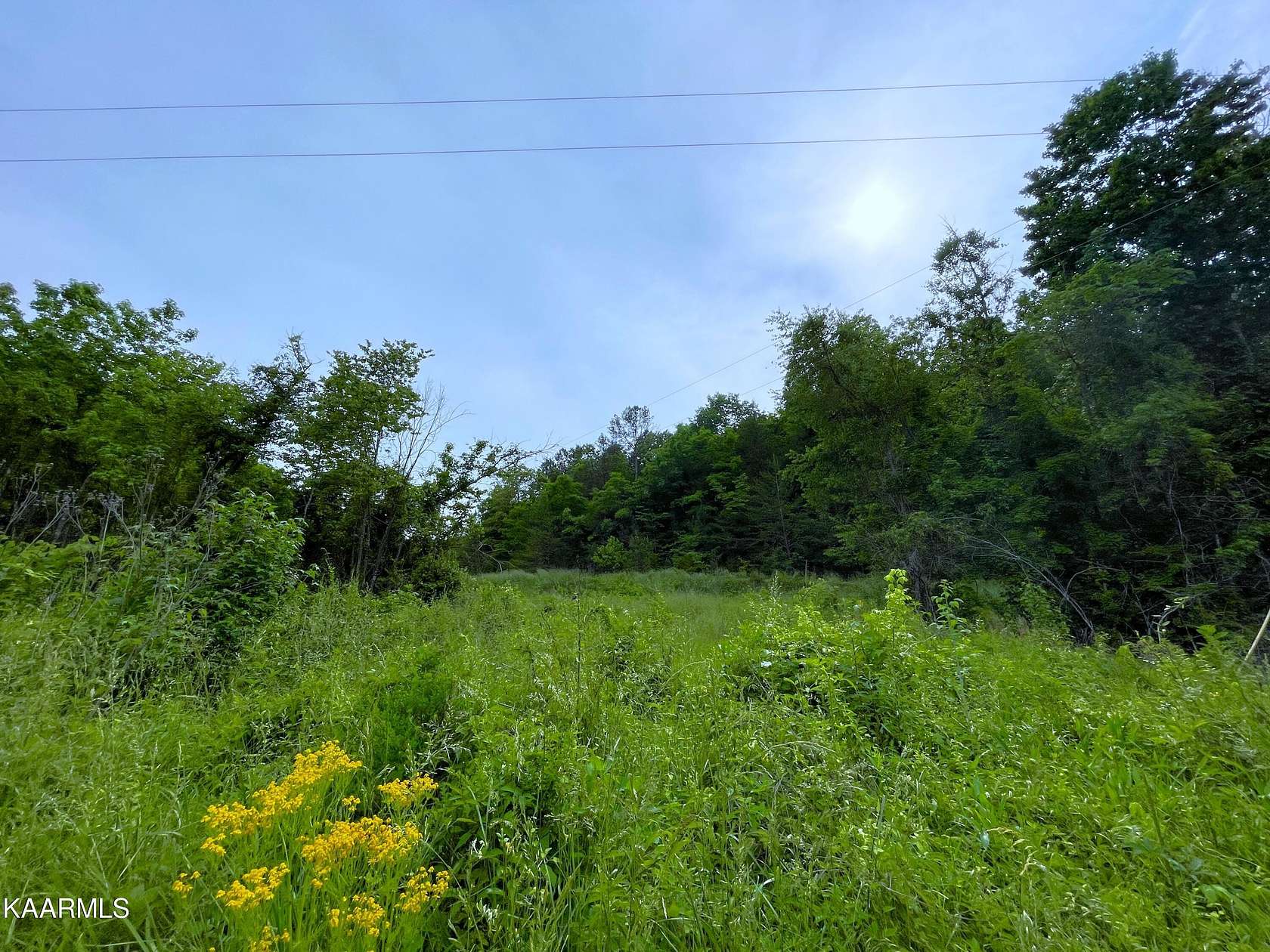 5 Acres of Land for Sale in Newport, Tennessee