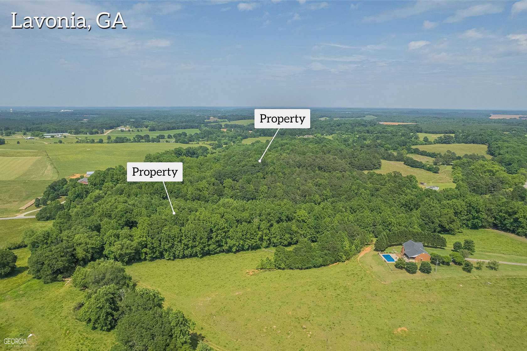 31.4 Acres of Land for Sale in Lavonia, Georgia