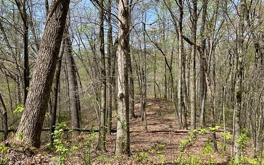 3 Acres of Land for Sale in Marble, North Carolina