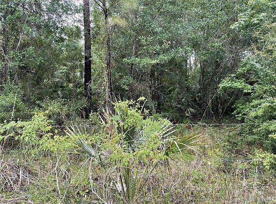 1 Acre of Land for Sale in DeLand, Florida