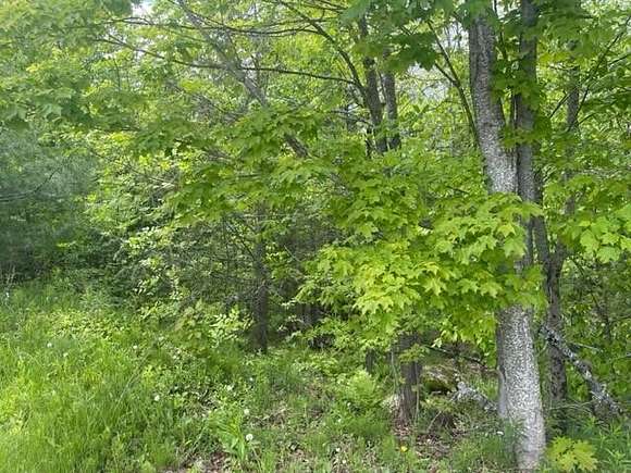 40 Acres of Land for Sale in Wiscasset, Maine