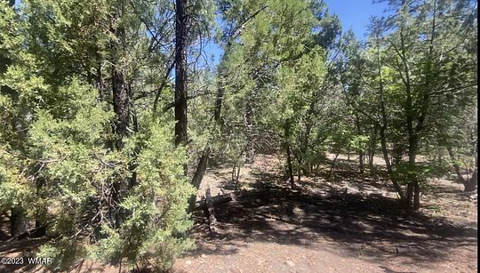 1 Acre of Residential Land for Sale in Lakeside, Arizona