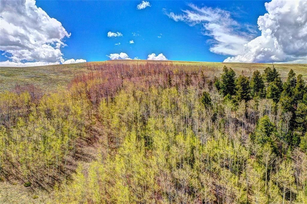 4.7 Acres of Residential Land for Sale in Hartsel, Colorado