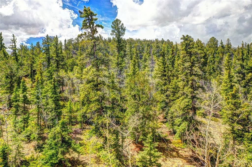 6.7 Acres of Residential Land for Sale in Hartsel, Colorado