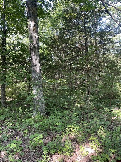 19.62 Acres of Land for Sale in Harrison, Arkansas