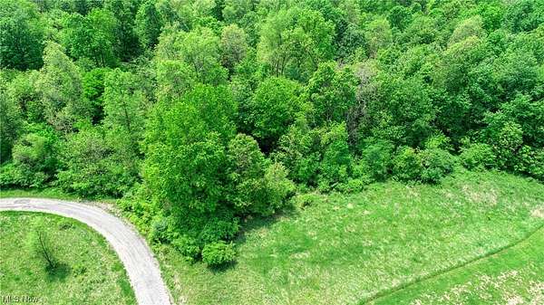 1.32 Acres of Residential Land for Sale in Lore City, Ohio