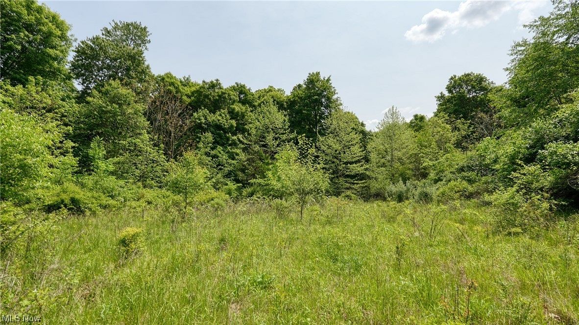 2.3 Acres of Residential Land for Sale in Lore City, Ohio