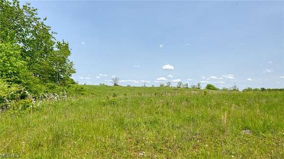 2.5 Acres of Residential Land for Sale in Lore City, Ohio