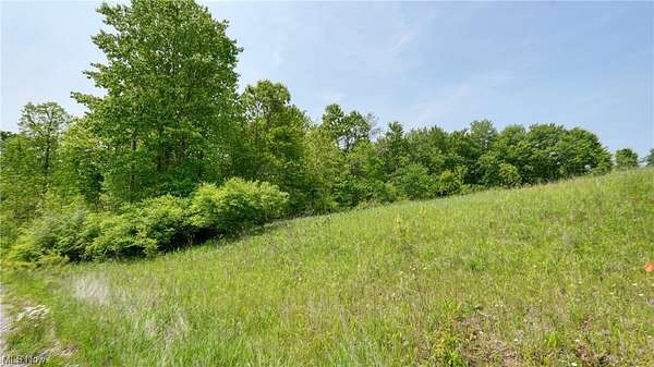 2.52 Acres of Residential Land for Sale in Lore City, Ohio