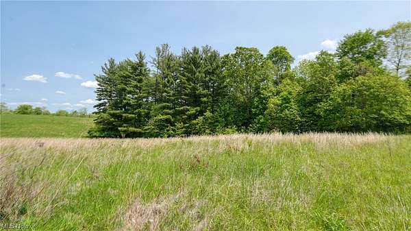 1.14 Acres of Residential Land for Sale in Lore City, Ohio
