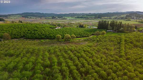 41 Acres of Agricultural Land for Sale in Gaston, Oregon