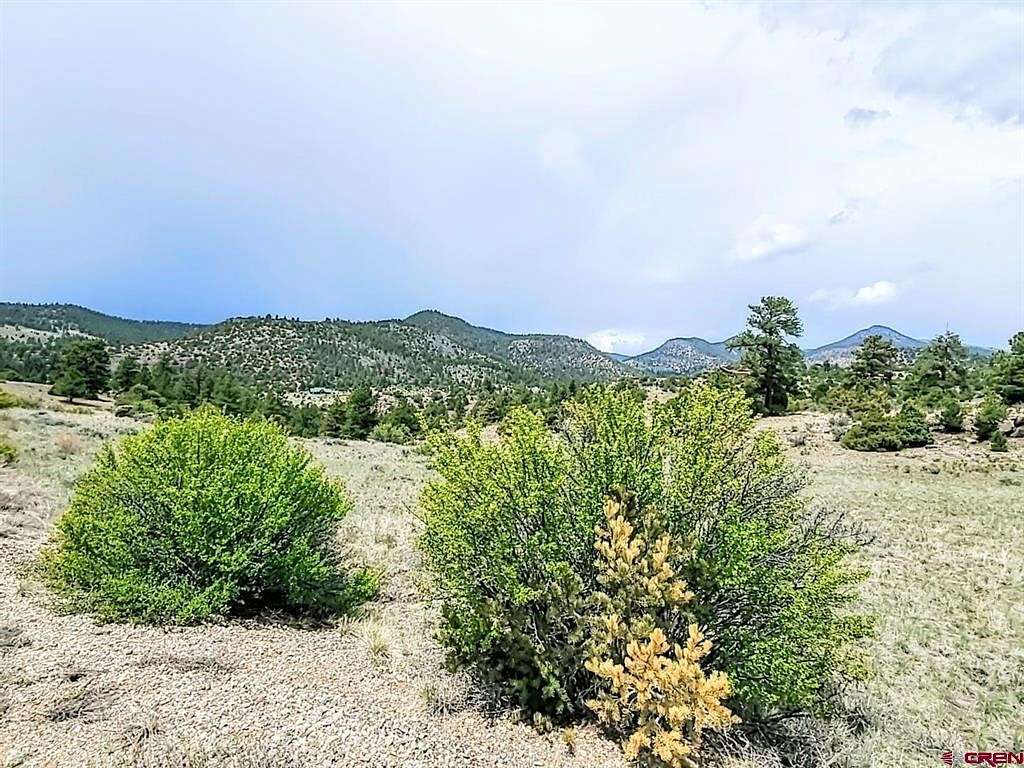 6 Acres of Residential Land for Sale in South Fork, Colorado