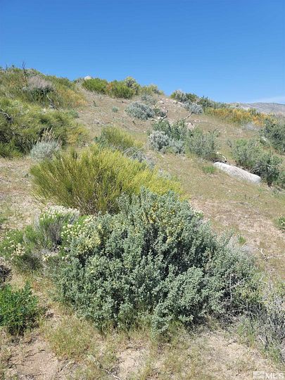 12.4 Acres of Land for Sale in Reno, Nevada